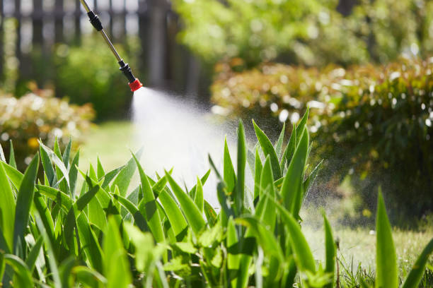 24/7 Emergency Ant Control experts in Rochester, NH