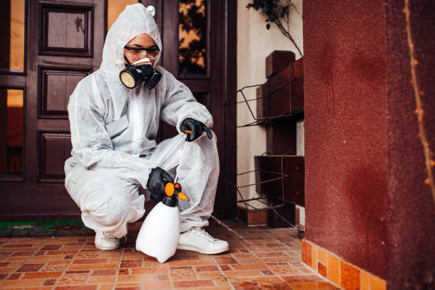 Reliable Ant Control contractor in Rochester, NH by Show Me Pest Control